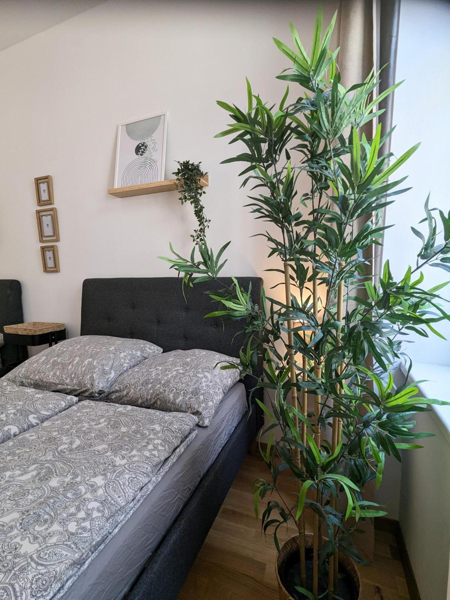Renovated Studio - 10 Min To Center 维也纳 外观 照片